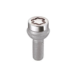 Radius Seat Style Wheel Lock Bolts-Chrome