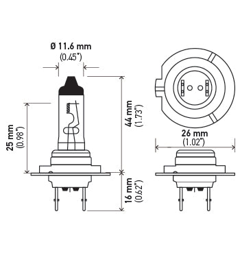 H7 24V.PT01.jpg